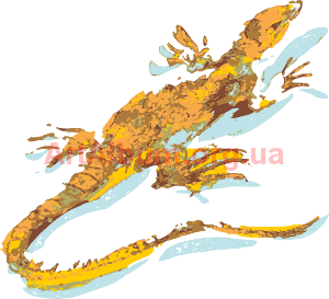 Clipart aquarelle lizard
